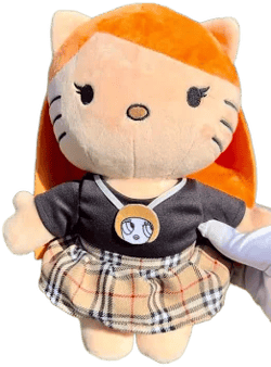 Ice spice plushie, popmart, labubu, Artist Stuffed Animal, Rapper Kitty Plush, You thought I was feeling you Kitty, Kawaii Gifts for her,