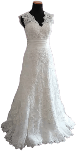 RAYNIA Vintage Lace V-Neck Wedding Dress with Beadings