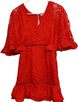 Goodnight Macaroon Embroided Dress