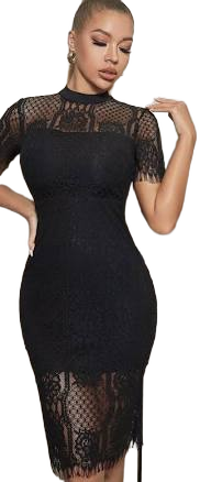 DESIGNER COUTURE Black Lace Overlay High NECK COCKTAIL Classy Dress