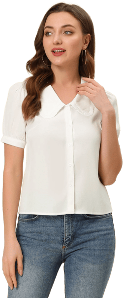 Allegra K Women's Vintage Chambray Peter Pan Collar Puff Sleeve Blouse