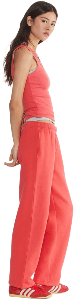 Aritzia Cozy Sweatfleece Mega Straight Sweatpants