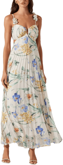 Astr The Label Women's Emese Floral Pleated Maxi Dress
