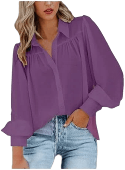 Women's Long Sleeve Lantern Sleeve Turndown Collar Blouse