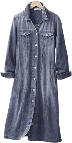 New Roads Shirtdress