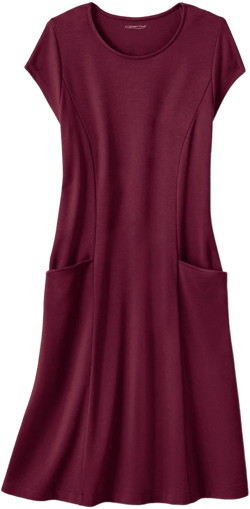 Destinations Seamed Dress