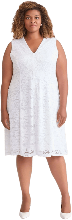 Kasper Women's V-Neck Fit-And-Flare Lace Dress