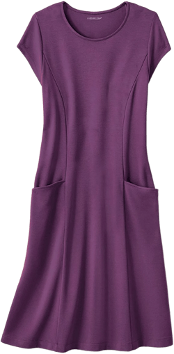 Destinations Seamed Dress