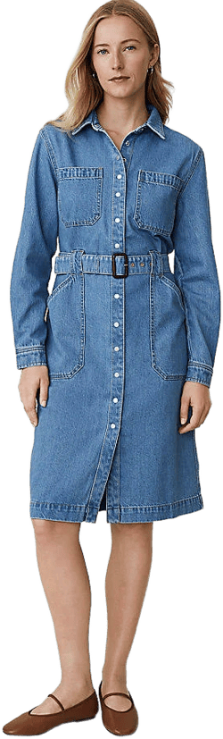 Ann Taylor Women's Weekend Collection Denim Collared Column Midi Dress