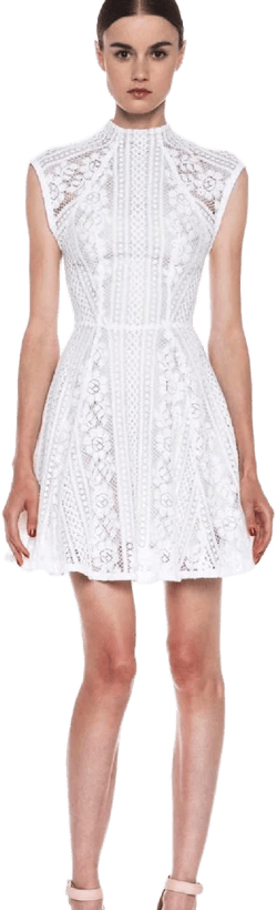 Lover Valentine Lace Mini Dress