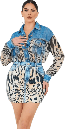 Silk Cheetah Shirt