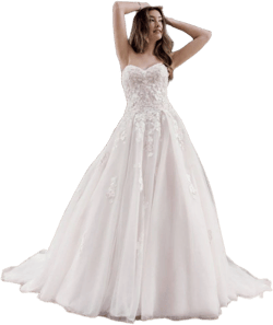 David's Bridal Embroidered Lace Applique Ball Gown Wedding Dress