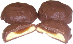 Scott's Cakes Milk Chocolate Covered Apricot Butter Cookies in a 1 Pound Plastic Deli Container Milk Chocolate Apricot Butter Cookies 1 Pound