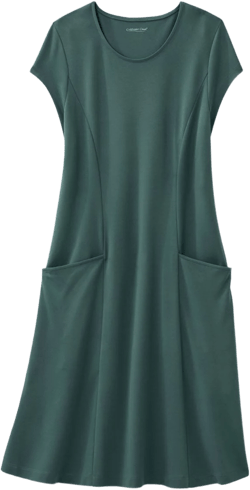 Destinations Seamed Dress