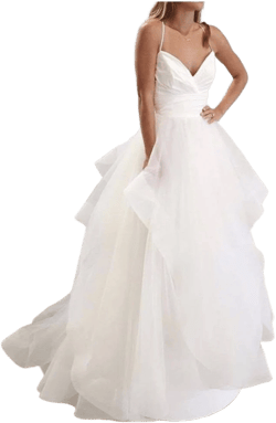 Hayley Paige Wedding Gown
