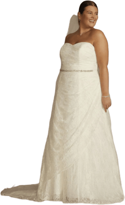 David's Bridal Allover Lace A-Line Wedding Dress