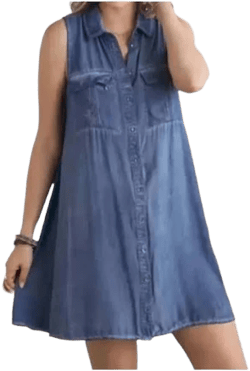 Adora Sleeveless Button Down Denim Dress