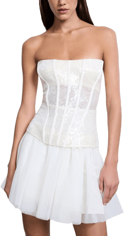 Jasmine Sequin Lace Peplum Tulle Dress
