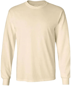 Ultra Cotton Long Sleeve T-Shirt