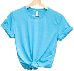 Bella Canvas Unisex Shirt