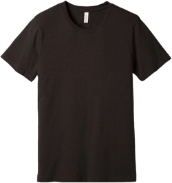 Bella + Canvas Unisex Jersey Tee Adult