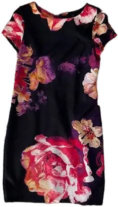 Taylor Brand Floral Dress