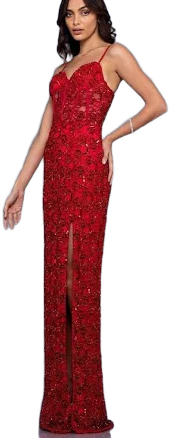 Scala Lace Embellished Evening Dress
