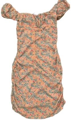 Tiger Mist Orange Floral Back Ruched Mini Dress
