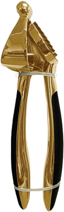 Urban Cupboard Premium Garlic Press, Mince and Crush Cloves, Built-In Cleaner, Comfortable Handle, Dishwasher Safe, Gold