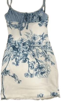 Tiger Mist Blue Floral Mini Dress