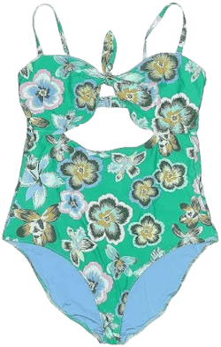 Aerie Women's Floral One Piece Swimsuit