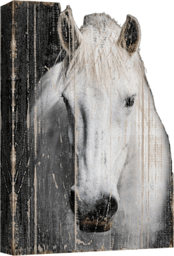 wall26 Canvas Print Wall Art Black & White Horse Portrait on Wood Panels Animals Wildlife Digital Art Realism Rustic Scenic Nature Photography Colorful for Living Room, Bedroom, Office - 12"x18" 18L" x 12W" Artwork - 03
