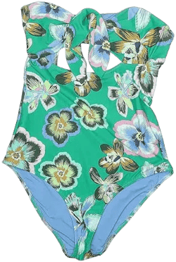 Aerie Women's Floral One Piece Swimsuit