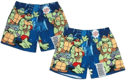 Teenage Mutant Ninja Turtles Men's Comic Big Print Shorts