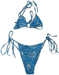 Oneone Swimwear Floral Bikini Set