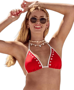 Hollister Women's Triangle Bikini Top