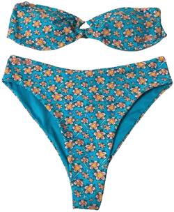 Ed Hardy 2-Piece Bikini