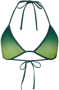 Casablanca Paris Gradient Bikini Top