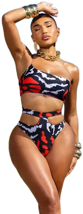 Le Feroce Basil High Waisted Bikini