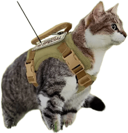 Escape-Proof Tactical Cat Harness Vest with Leash - Adjustable Fit for Cats & Small Dogs, Durable Polyester