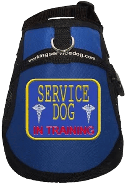 Service Dog Training Vest