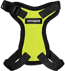 Voyager Step-In Lock Pet Harness All Weather Mesh, Adjustable Step In Harness for Cats and Dogs by Best Pet Supplies