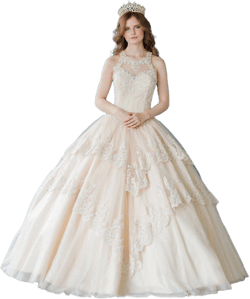 Calla Lace Applique Quinceanera Dress