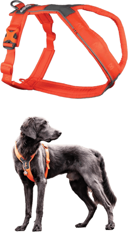 Non-stop dogwear Line Harness 5.0, Padded Dog Harness for Medium Dogs, Made for Hiking, Sport and Everyday Active Life with 3 Leash Clips, Reflectors and Ergonomic Fit, Orange, Size 6