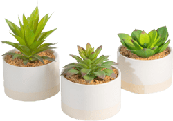 Artificial Succulents Plant in Ceramic Pot, Set of 3 Assorted Small Fake Potted Succulents, Faux Greenery Plant for Indoor Home Office Desk Table Shelf Decor