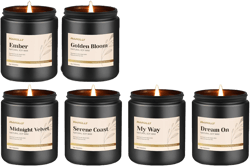 Hotel Scented Candles Set, 6 Pack Candles for Home Scented, Luxury Aromatherapy Jar Candle Gifts for Men & Women, Natural Soy Wax Long Lasting Candle Kit for Fathers Day, Birthday, Christmas
