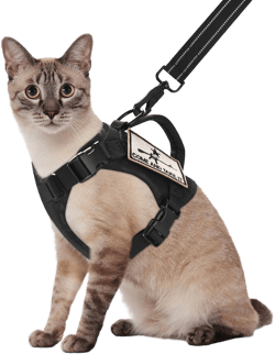 Salfse Tactical Cat Harness and Leash