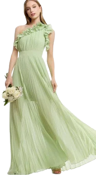 Dress the Population Women's Vida One-Shoulder Pleated Chiffon Gown