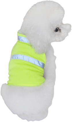 POPETPOP Dog Reflective Safety Vest for Night Outdoor Use - High Visibility Breathable Summer Clothes for Small Dogs Walking Running Hiking (Fluorescent Yellow-S)