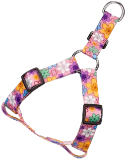 Country Brook Petz May Flowers Step-In Dog Harness